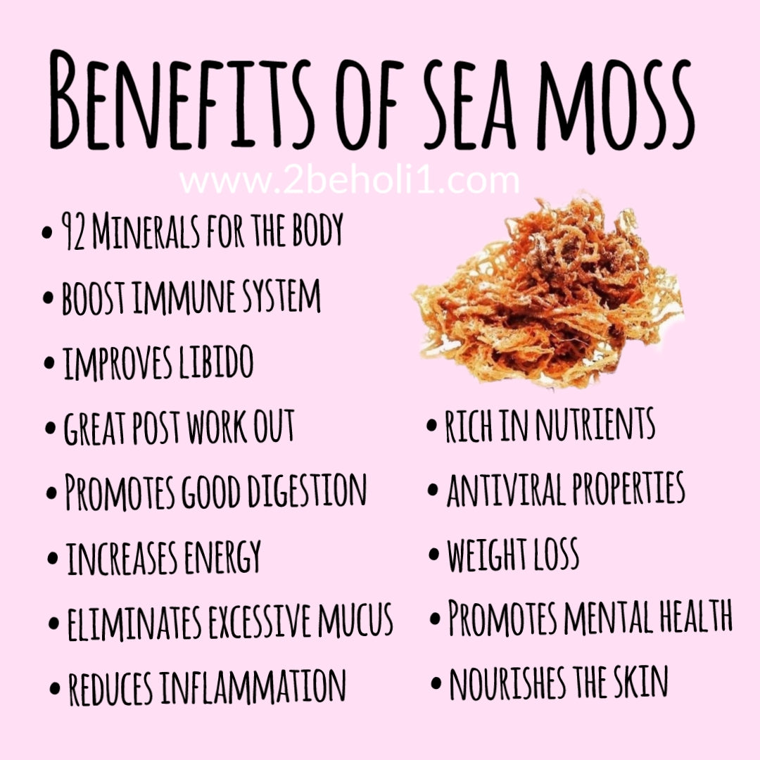 Sea Moss Gel (Plain) – Healing Outward Looking Inward